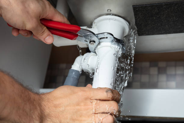 Best Water damage cleanup near me  in Swannanoa, NC