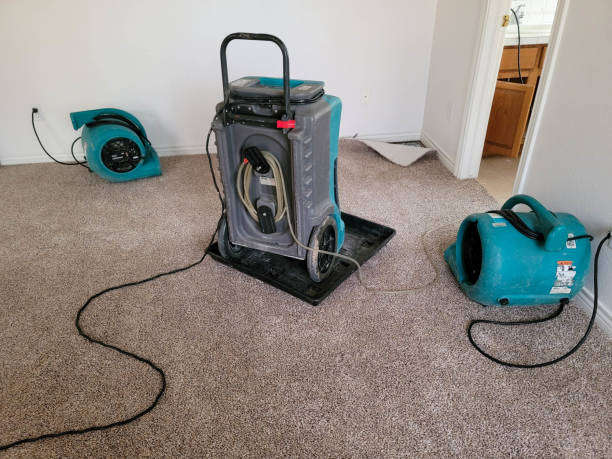 Best Basement water damage restoration  in Swannanoa, NC