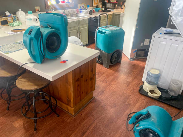  Swannanoa, NC Water damage restoration Pros