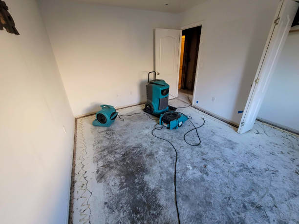 Best Carpet water damage restoration  in Swannanoa, NC