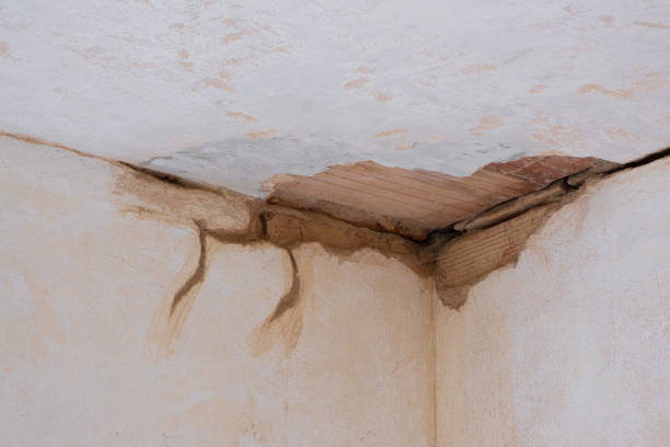 Best Local water damage restoration  in Swannanoa, NC