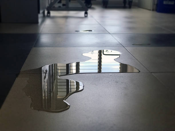 Best Water damage restoration specialists  in Swannanoa, NC