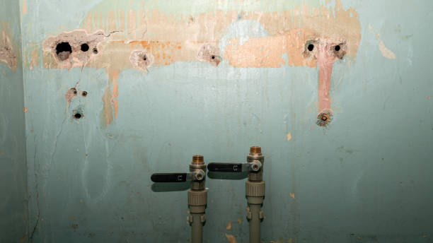 Best Water damage restoration near me  in Swannanoa, NC