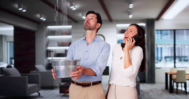  Swannanoa, NC Water damage restoration Pros