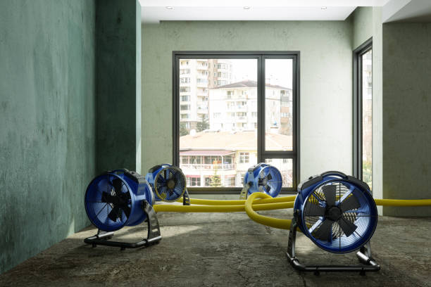 Best Commercial water damage restoration  in Swannanoa, NC