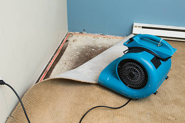Trusted Swannanoa, NC Water damage restoration Experts